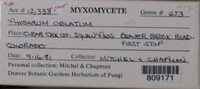Image Associated With the Occurence
